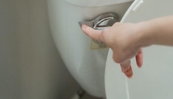clogged toilet clogged toilet