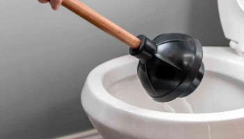 plunger plunger