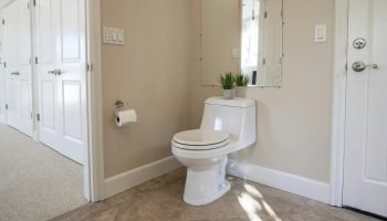 toilet toilet